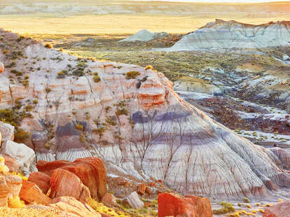 Painted Desert