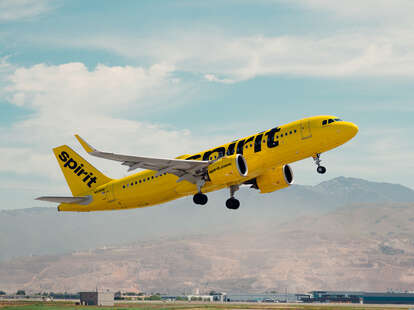 spirit airlines airplane halloween costume free upgrade