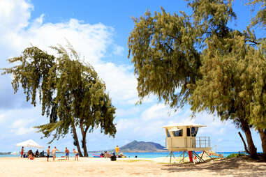 a lifeguard stand and beachgoers on a sunny shore lined with trees