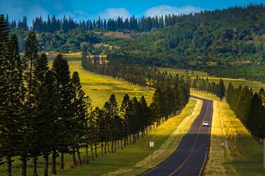 a car driving down a road lined by trees and mountains