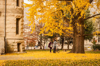 Indiana University