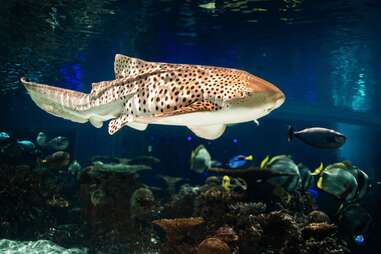 National Aquarium