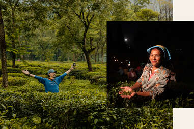 collage of grace farms in tea garden and female tea plucker at night