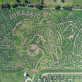 The World's Largest Corn Maze Is 'Jurassic Park'-Themed, Obviously