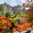 Throw On the Performance Fleece and Go See the Best Fall Foliage in Texas