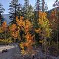 Mount Charleston Wilderness