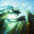 Strike Back at Gravity with Adaptive Scuba Diving on Catalina Island