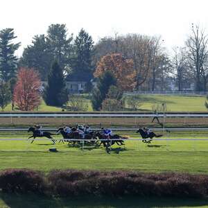 Keeneland