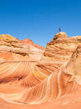 Holy Smokes, This Southwestern Desert Looks Like a Dr. Seuss Book