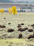 Big Sky Is Montana’s Ultimate Year-Round Mountain Escape