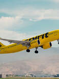 spirit airlines airplane halloween costume free upgrade